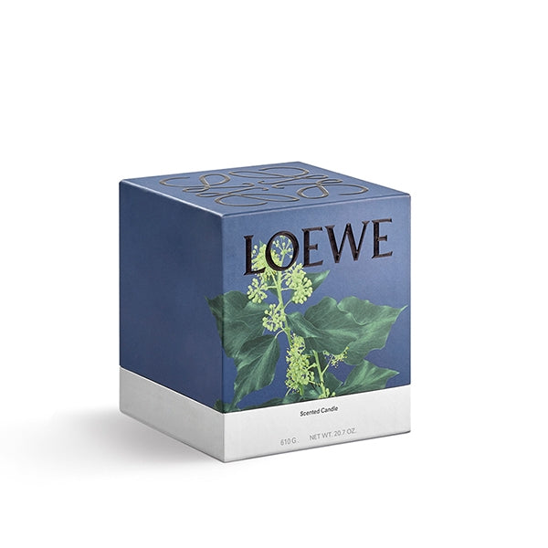 Ivy Candle