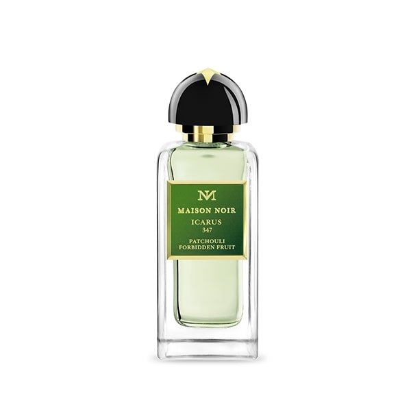 Maison Noir - Icarus 347 - Product shot