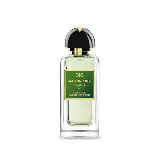 Maison Noir - Icarus 347 - Product shot