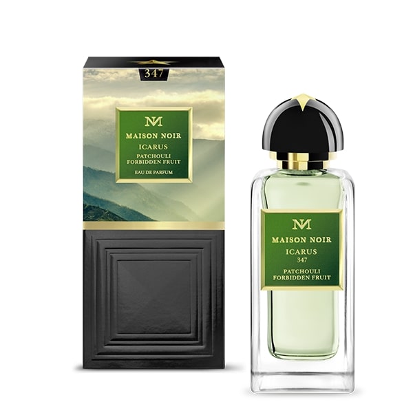 Maison Noir - Icarus 347 - Product shot