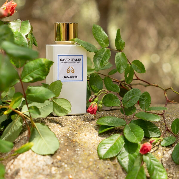 Eau'd Italie - Rosa Greta - mood shot