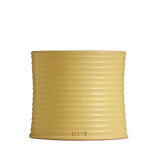 LOEWE Perfumes - Large Honeysuckle Candle - Product shot