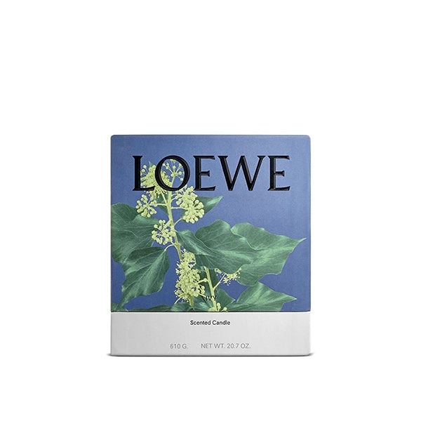 Ivy Candle