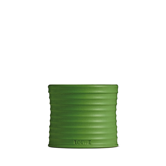 LOEWE Perfumes - Luscious Pea Candle - Product shot