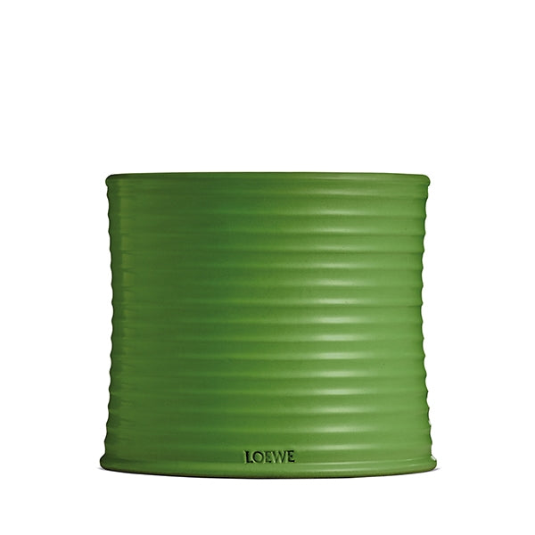 LOEWE Perfumes - Large Luscious Pea Candle - Product shot