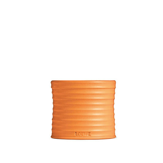LOEWE Perfumes - Orange Blossom Candle - Product shot