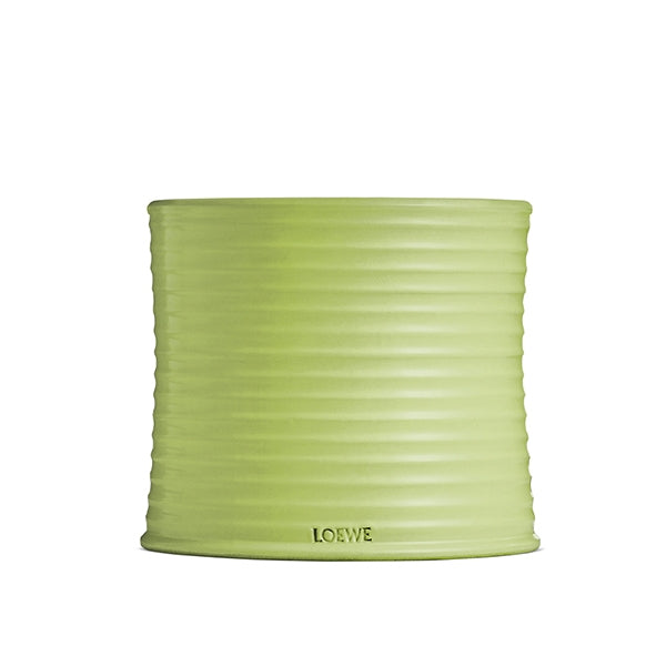 LOEWE Perfumes - Large Cucumber Candle - Product shot