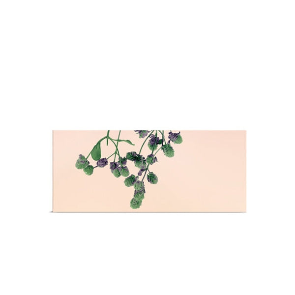 Oregano Solid Soap